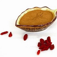 GOJI Berry Powder (Spray-Dried)