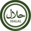 Halal Chicken