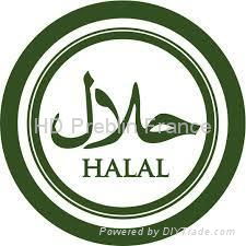 Halal Chicken