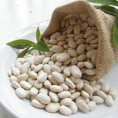 2015 Hot sale Natural Extract White Kidney Bean Extract 1