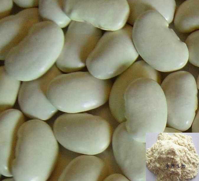 2015 Hot sale Natural Extract White Kidney Bean Extract 2