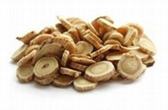 China supplier herbal extract powder 20-50%Astragalus Extract