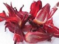 Roselle Extract  2