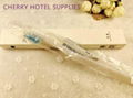 Wholesale hotel dental kit 3