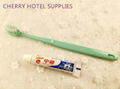 Wholesale hotel dental kit 4