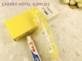 Disposable hotel toothbrush toothpaste set 2