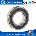 6204 2RS Bearings