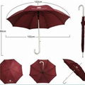 Umbrella 1