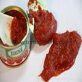 Homemade tomato paste 1