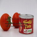 canned paste tomato tin  1