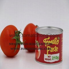 canned paste tomato tin 