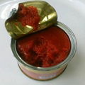 tomato,paste 28% light canned  1