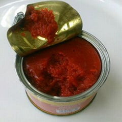 tomato,paste 28% light canned