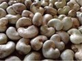 Cashew Nuts 4