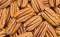 High Quality Pecan Nuts 2