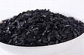 Coconut Shell Activated Charcoal 2