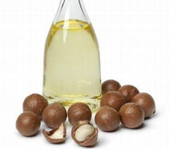 Raw and Roasted Macadamia nuts