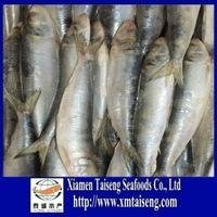 Best Quality and Price Indonesia Canned Tuna and Sardine