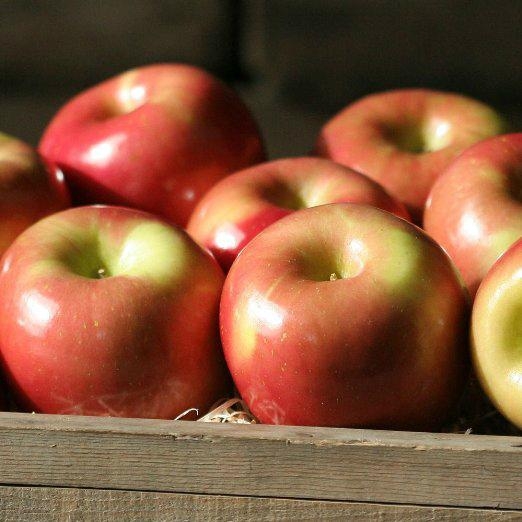 Gala Apples Fresh Produce Fruit, 3 LB Bag WWF445 apple. (Turkey