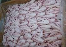 Frozen Chicken Meat