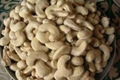100% High Quality Salted Roasted Cashews Nuts 1