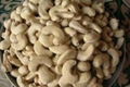 100% High Quality Salted Roasted Cashews Nuts