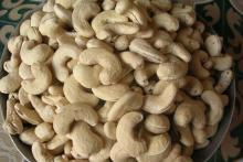 100% High Quality Salted Roasted Cashews Nuts