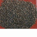 Palm Kernel Nut