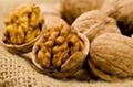 Grade A/A Walnut in Shell for Sale 1