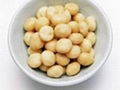 High Quality Macadamia Nuts 3