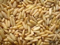 High Quality Guaranteed Pine Nut Kernels