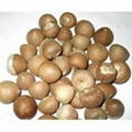 Dried Betel Nut for sale 1
