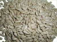  Sunflower Seeds for  sale 2
