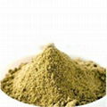 Coriander Powder 1