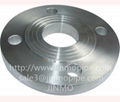 steel flange fittings 1