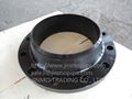 steel flange fittings 3