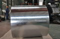 SGCH Galvanized Steel Coil GI Coil