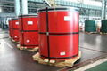  RAL PPGI Prepainted Galvanized Steel coil with latested price  3