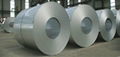 Galvalume Steel Coil/GL