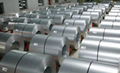 Galvalume Steel Coil/GL  5