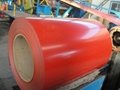  RAL PPGI Prepainted Galvanized Steel coil with latested price  5