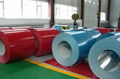  RAL PPGI Prepainted Galvanized Steel coil with latested price  6