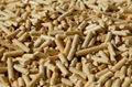 Quality Beech Wood Pellets  1