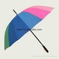 Rain shield Umbrellas