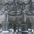 Bellow Sealed Globe Valve