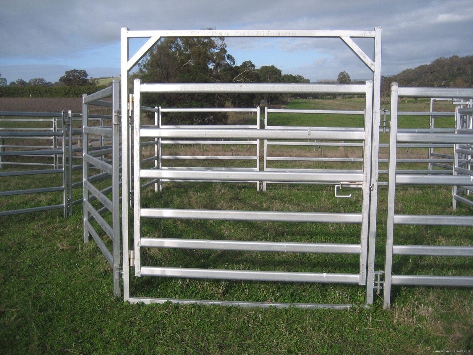 Heavy duty galvanized livestock cattle panel used cattle yard panels 3