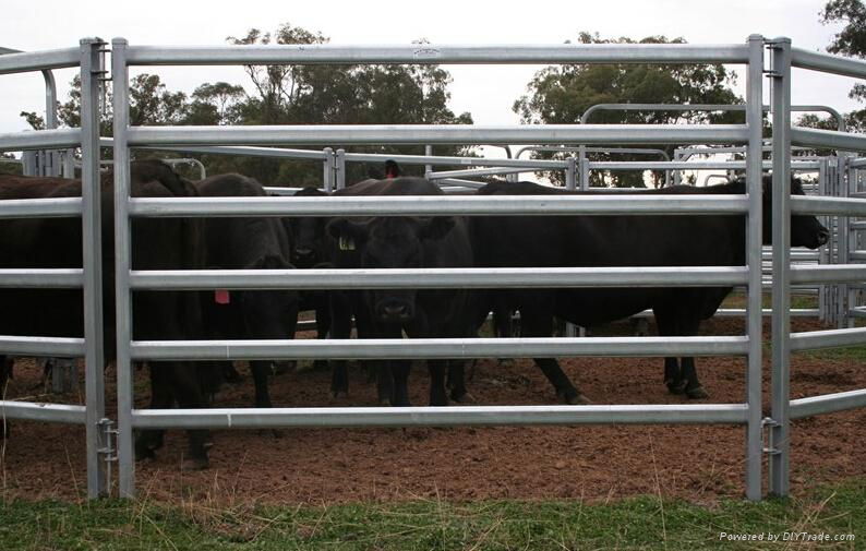 Heavy duty galvanized livestock cattle panel used cattle yard panels