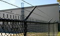 Alibaba china cheap galvanized chain link fence for sale 1