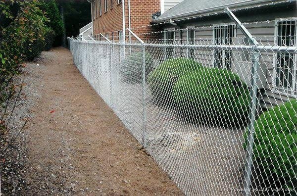 Alibaba china cheap galvanized chain link fence for sale 2