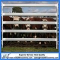 6Bar oval tube steel Cattle yard panel 4
